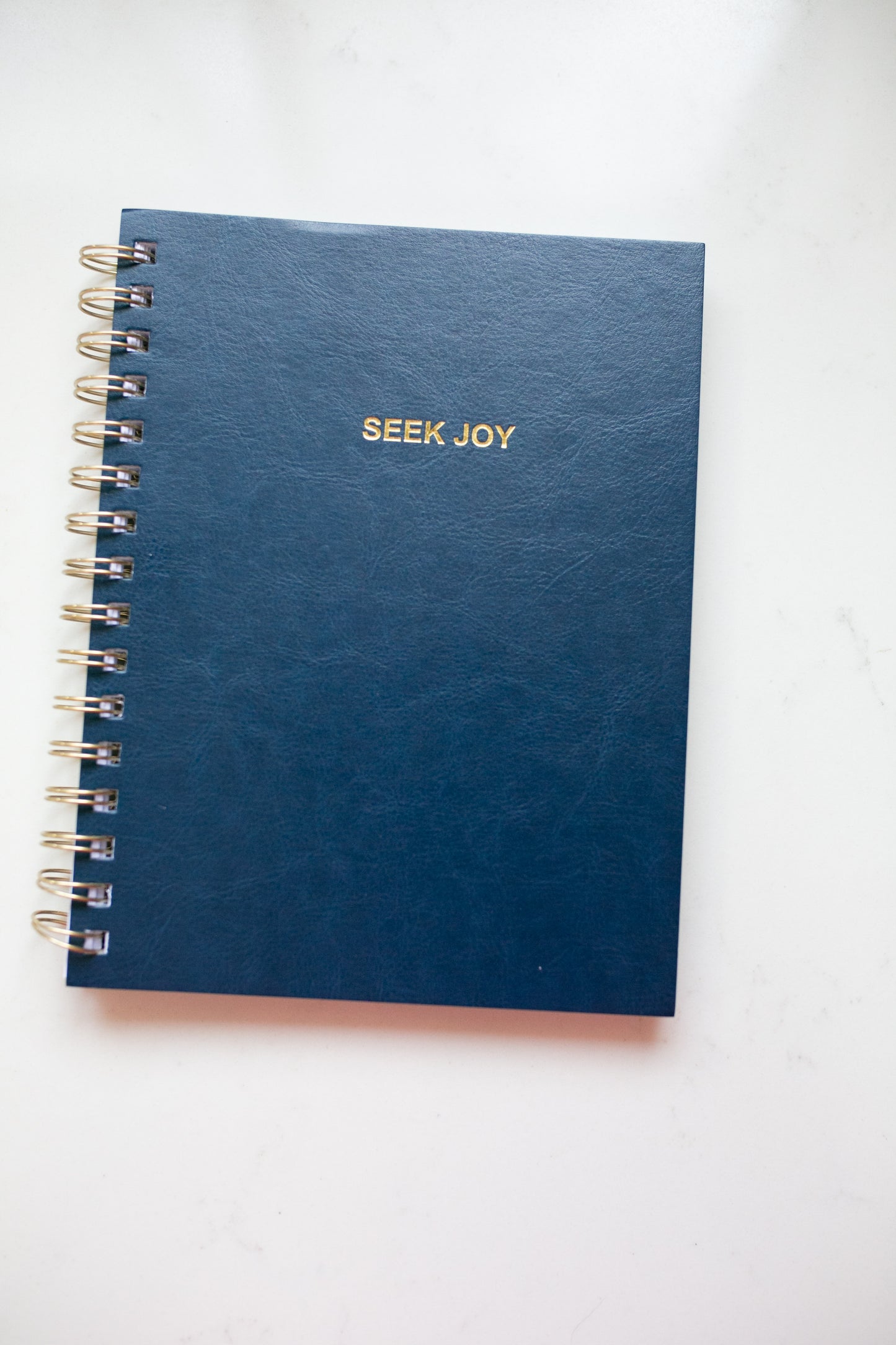 Journal (lined)