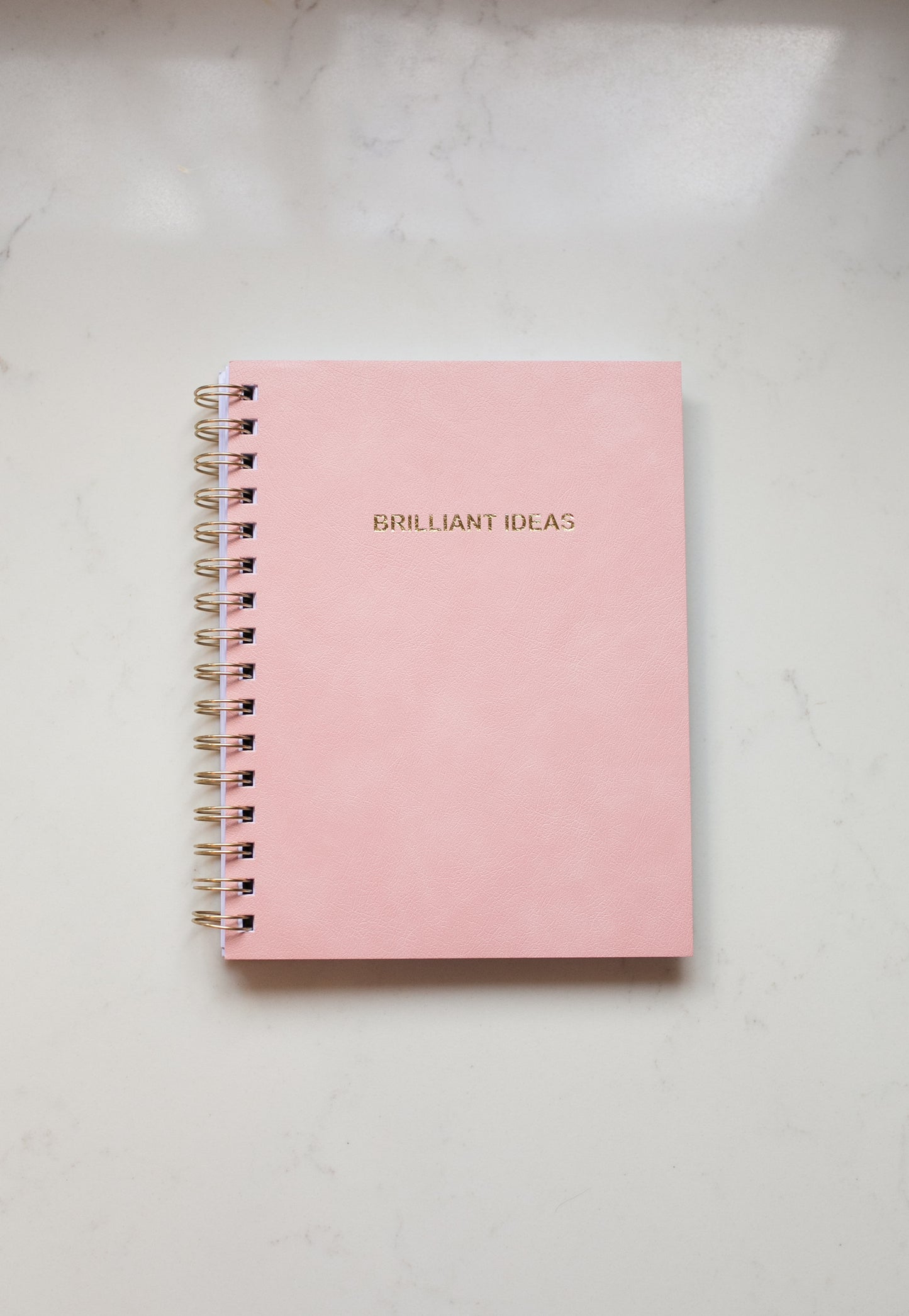 Journal (lined)